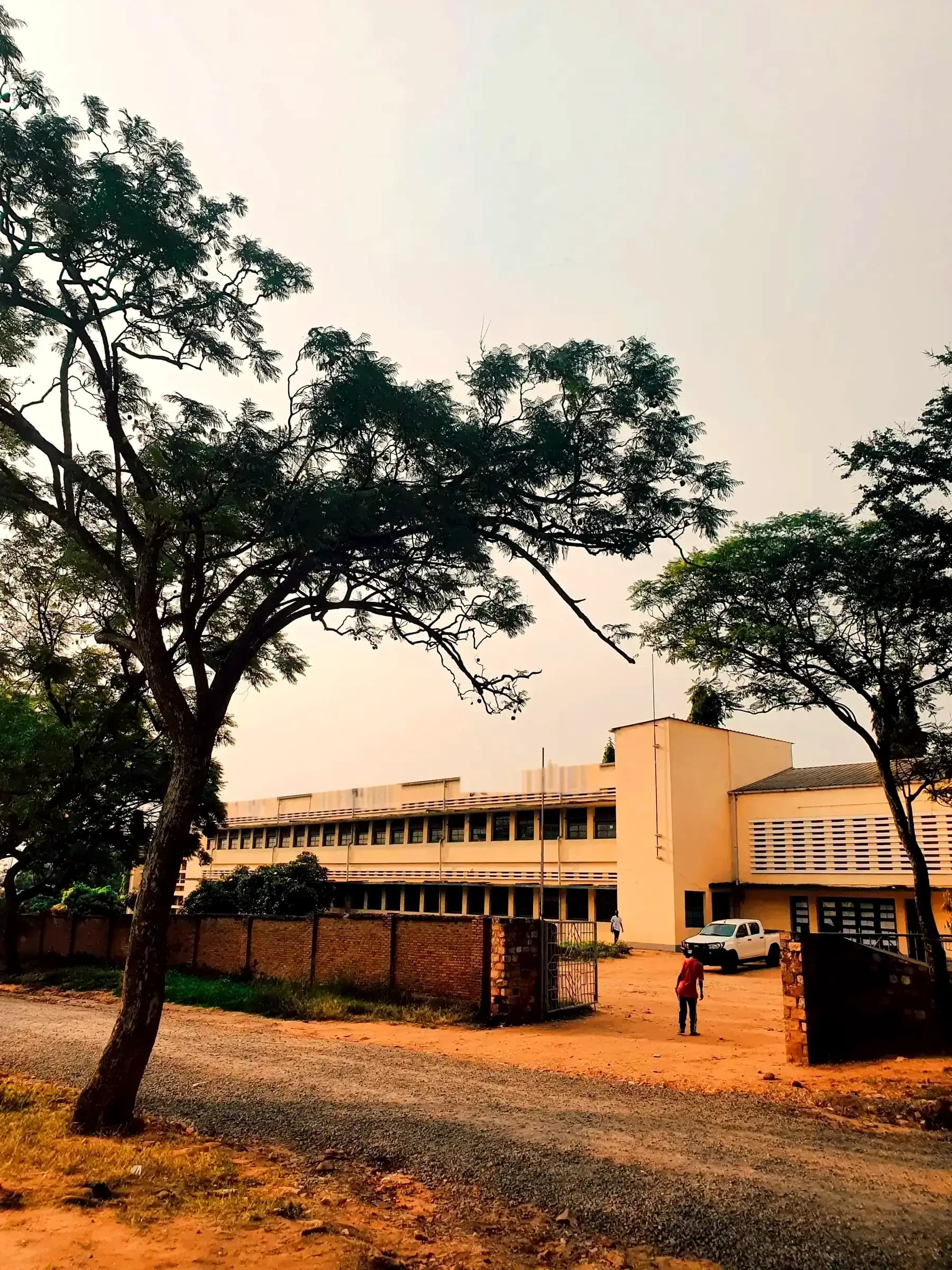 A secondary school building behind tall trees